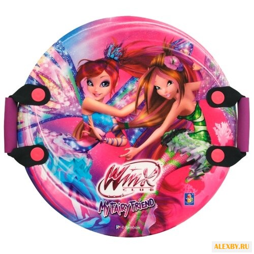 Ледянка 1 TOY Winx Т57210