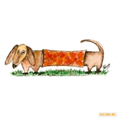 Цветной Набор алмазной вышивки