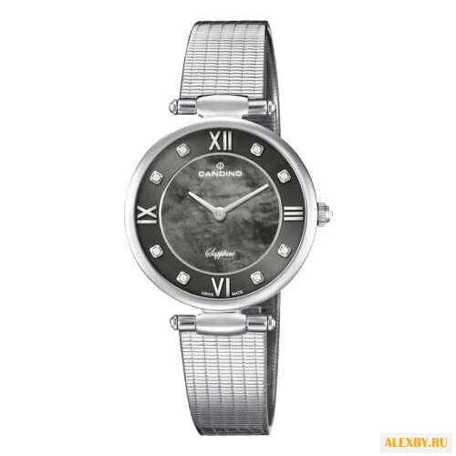 Наручные часы CANDINO C4666 2
