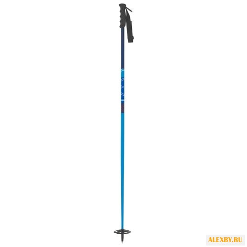 Палки для горных лыж Swix Bandit