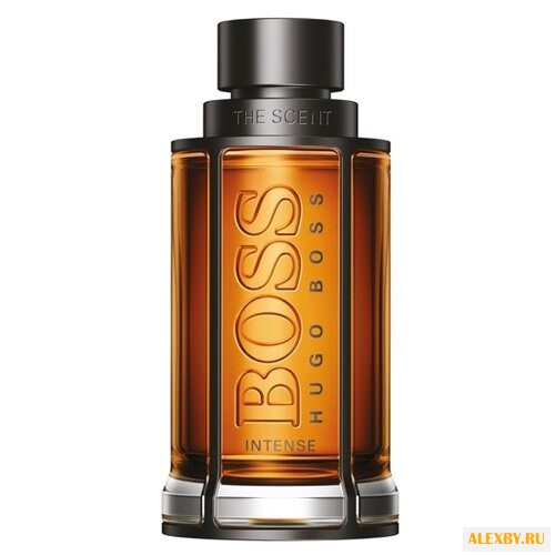 HUGO BOSS The Scent Intense for
