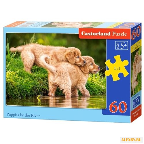 Пазл Castorland Puppies by the