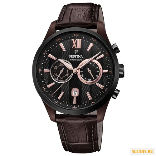 Наручные часы FESTINA F16999 2