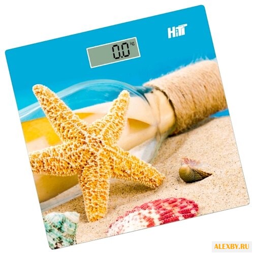 Весы HITT HT-6105