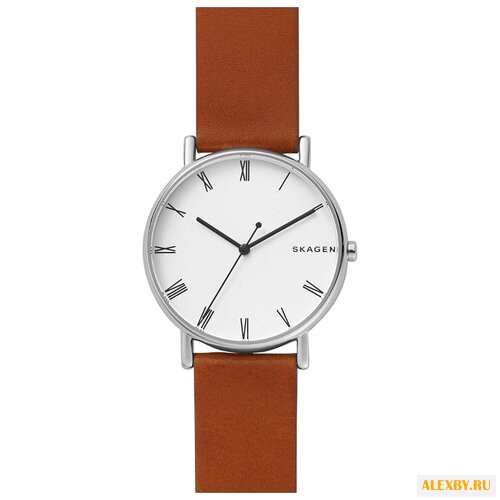 Наручные часы SKAGEN SKW6427