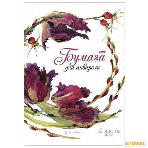 Папка для акварели Hatber Флер