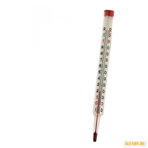 Термометр WATTS Industries