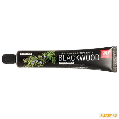 Зубная паста SPLAT Blackwood