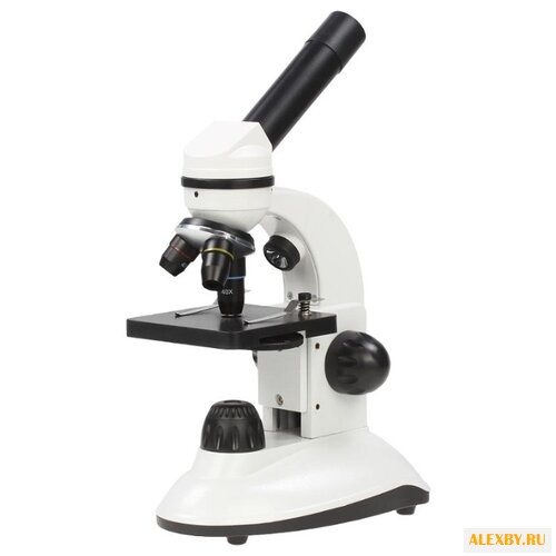 Микроскоп Научные Развлечения