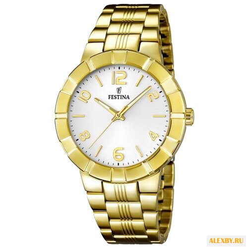 Наручные часы FESTINA F16713 1