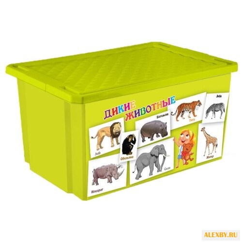 Контейнер Little Angel Обучайка