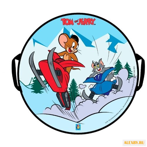 Ледянка 1 TOY Том и Джерри Т10458