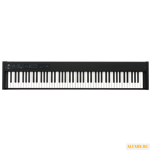 Цифровое пианино KORG D1