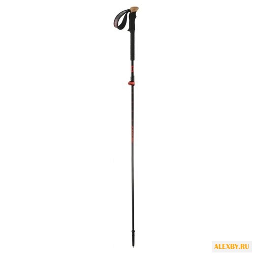 Палки для горных лыж SCOTT