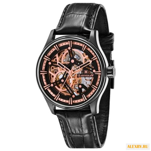 Наручные часы EARNSHAW ES-8076-04