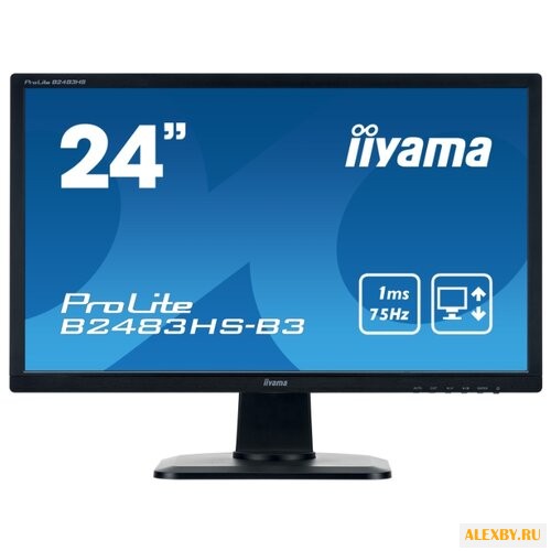 Монитор Iiyama ProLite B2483HS-3