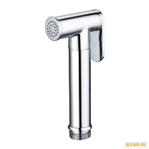 Лейка для гигиенического душа