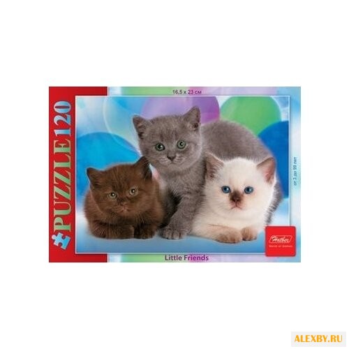Пазл Hatber Little Friends Три