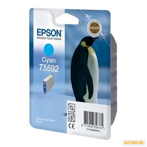 Картридж Epson C13T55924010
