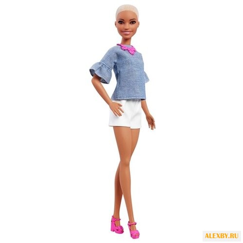 Кукла Barbie Шик в Шамбре FNJ40