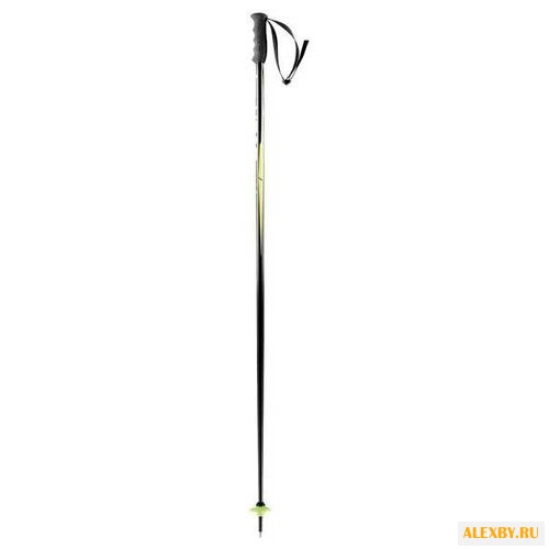 Палки для горных лыж HEAD