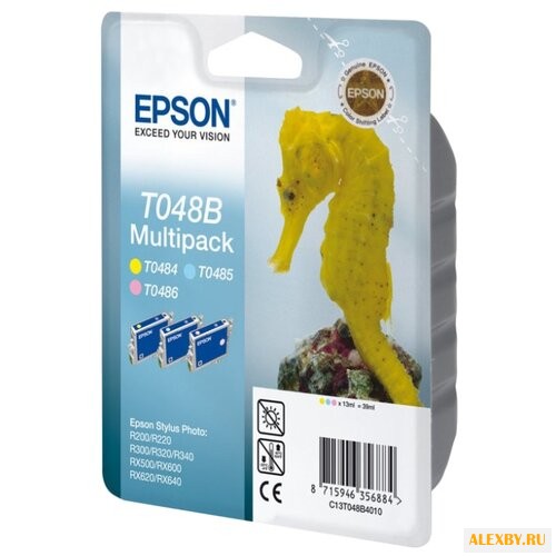 Картридж Epson C13T048B4010