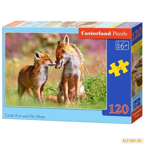 Пазл Castorland Little Fox and