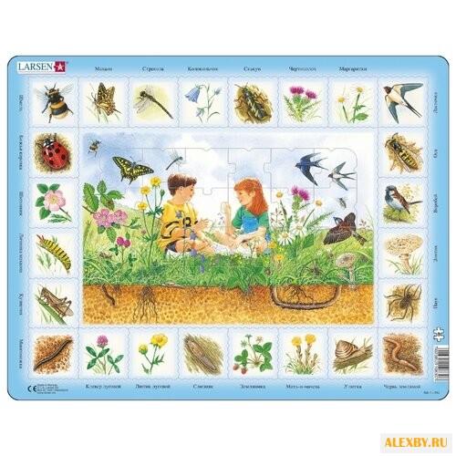 Рамка-вкладыш Larsen Поле NA1