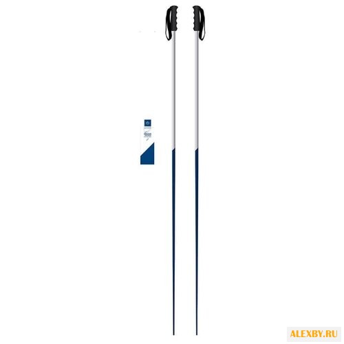 Лыжные палки Faction Candide