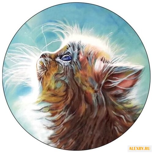 Цветной Вышивка крестом Котенок