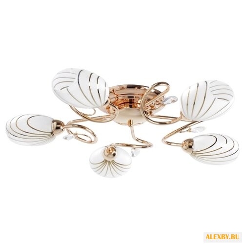 MW-Light Фиеста