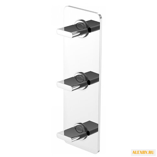 Двухрычажный смеситель для душа