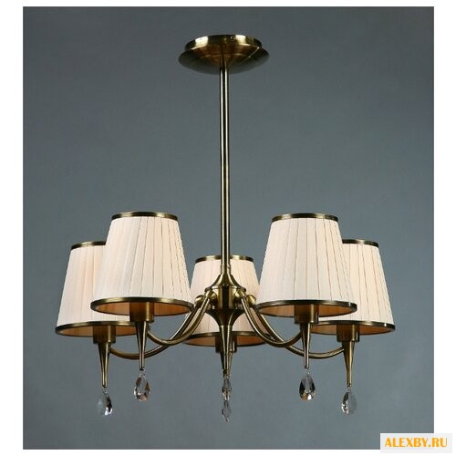 BRIZZI 1625 MA 01625CA 005