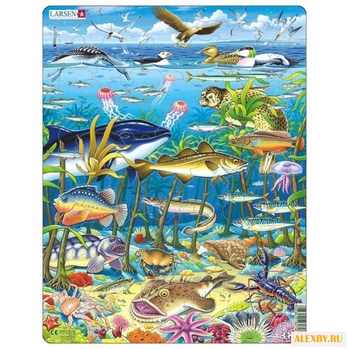 Рамка-вкладыш Larsen Водоросли