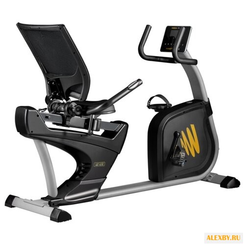 Велоэргометр Hasttings Wega RS400