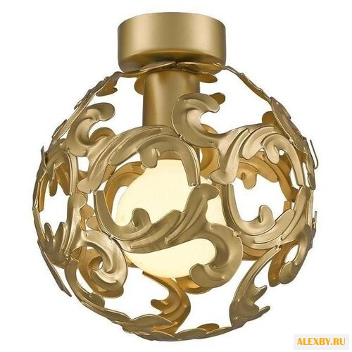 Favourite Dorata 1469-1U