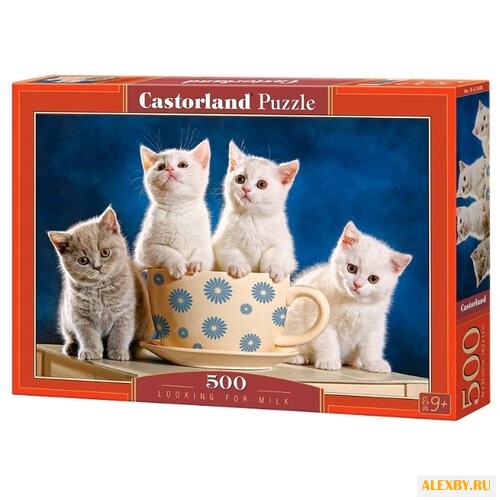 Пазл Castorland Looking for