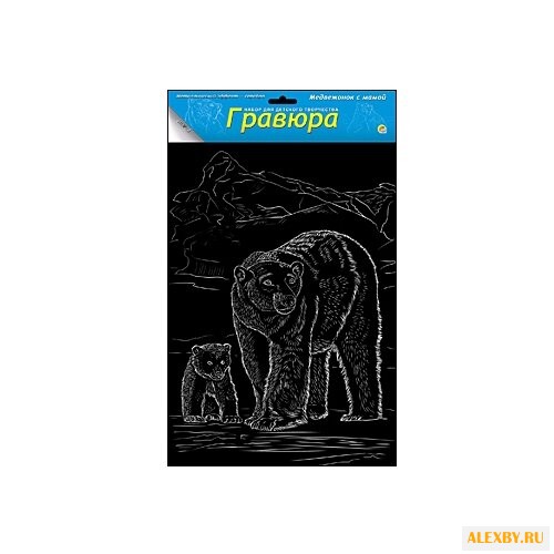 Гравюра Рыжий кот Медвежонок с