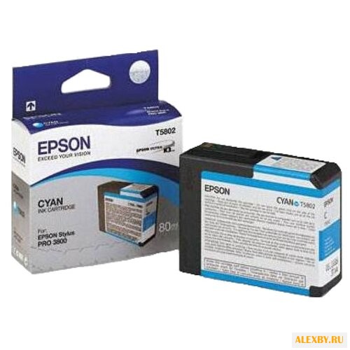 Картридж Epson C13T580200