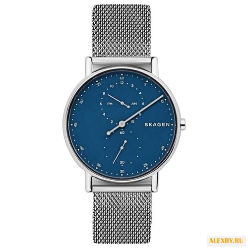 Наручные часы SKAGEN SKW6389
