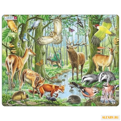 Рамка-вкладыш Larsen