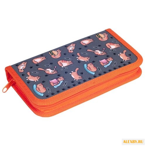 CENTRUM Пенал Коты 1 отд 19х11