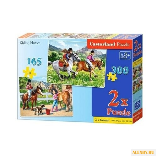 Набор пазлов Castorland Riding