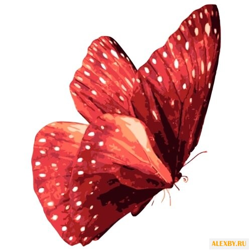 Цветной Картина по номерам