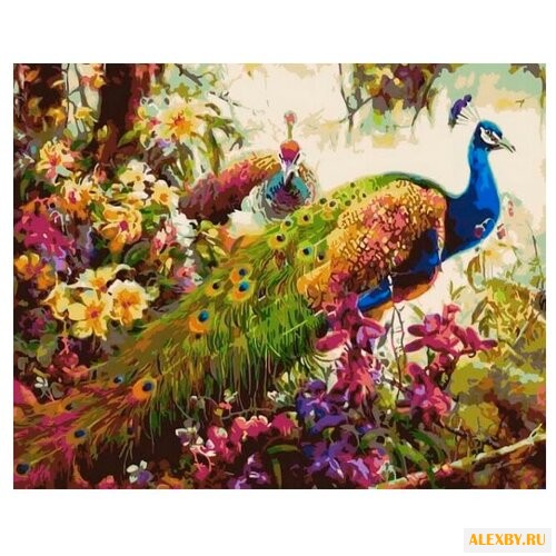 Цветной Картина по номерам