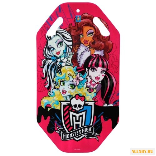Ледянка 1 TOY Monster High Т56339