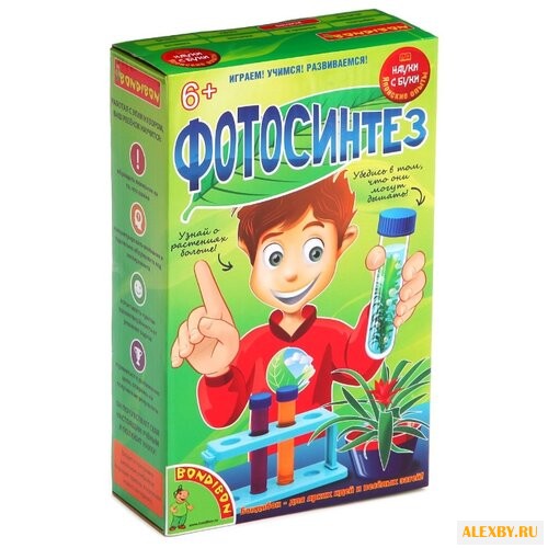 Набор BONDIBON Фотосинтез ВВ1183