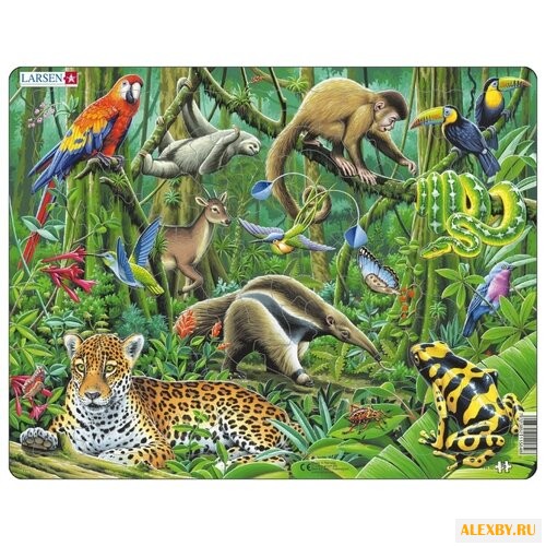 Рамка-вкладыш Larsen