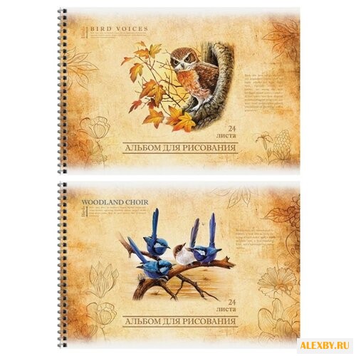 Альбом для рисования на гребне