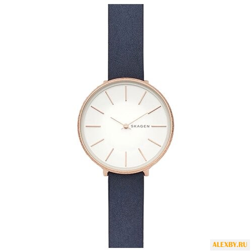 Наручные часы SKAGEN SKW2723